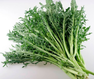 BROTONS DE COL - Manat